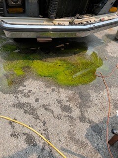 oil leak.jpg